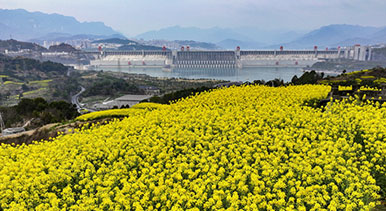 湖北宜昌：三峽壩區(qū)春光美